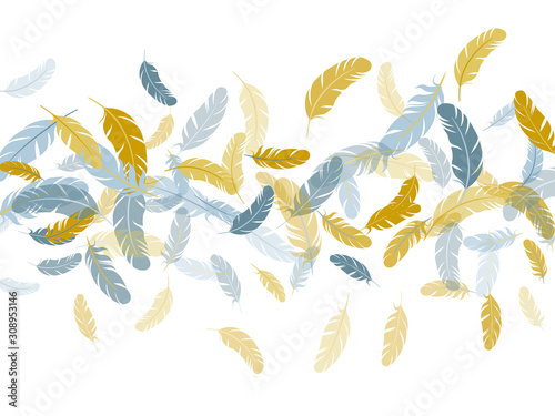 Falling feather elements soft vector design.