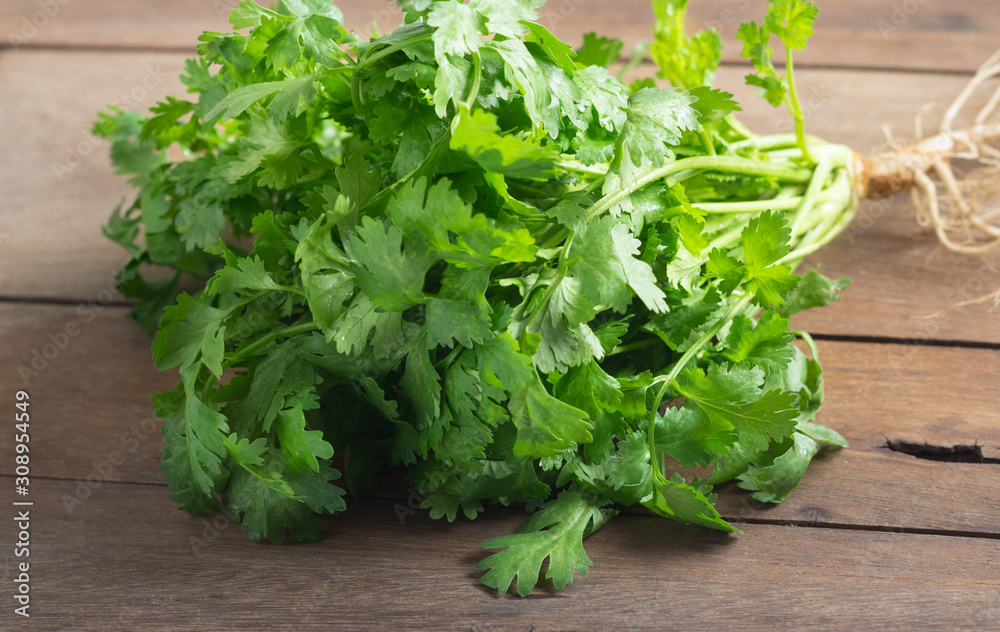 Bunch of fresh coriander or cilantro on wooden background. Bunch of fresh coriander or cilantro on wooden background.