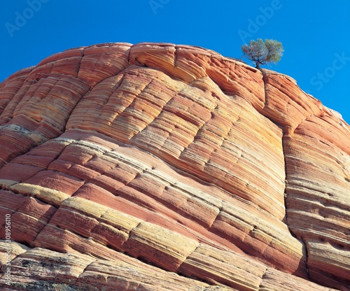 Photography 12670005