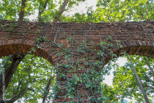 Brick pillar overgrown with ivy