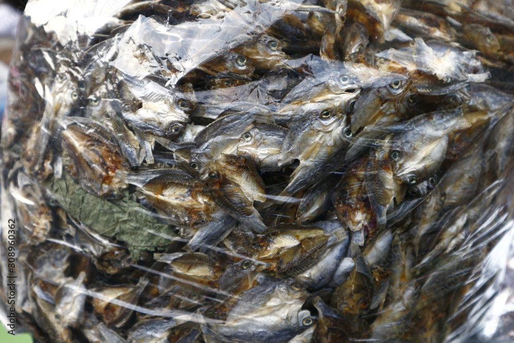 Bunch of dried fish called Ayungin or Silver Perch Bunch of dried fish called Ayungin or Silver Perch