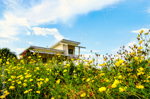 Yellow wooden house, decorated with plants and flowers, stands in the middle of farmland, mountain, and blue sky