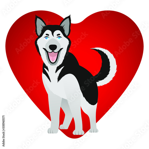 Smiling husky dog. Red heart.