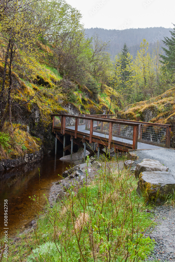 Fototapeta premium Nugget Falls Trail at Juneau, Alaska