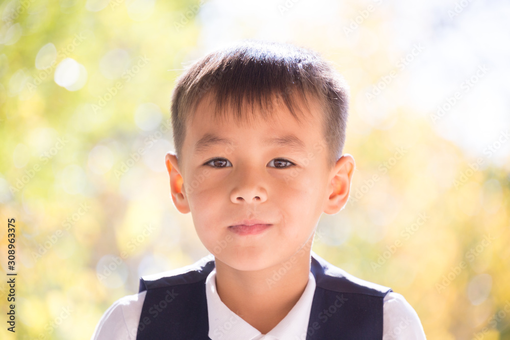 Portrait of a child in school uniform smiling looking at the camera on a sunny day Portrait of a child in school uniform smiling looking at the camera on a sunny day