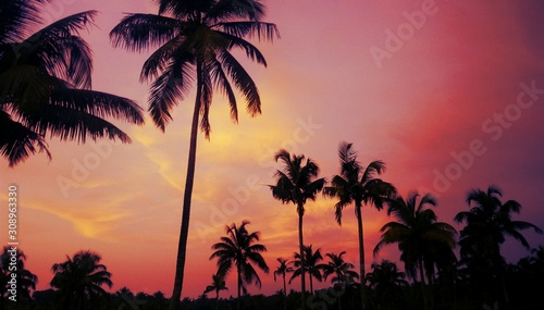 sunset on the beach © Aparna