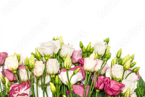 Bunch of pink and white eustoma flowers on white background. photo