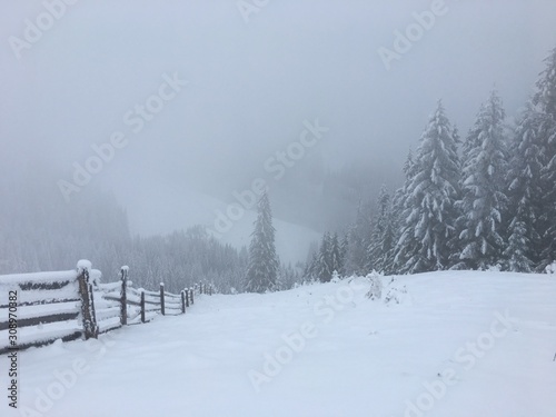 Winter mountain landscape in foggy Carpathians © Mykhailo