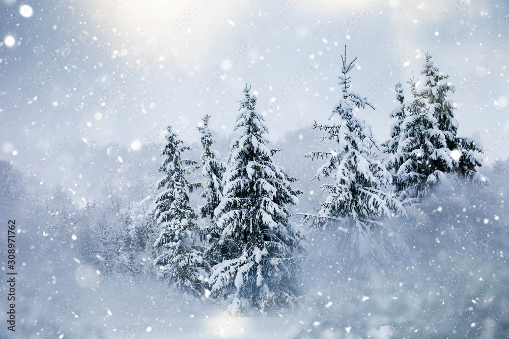 Scenic winter landscape with snowy fir trees. Winter postcard.