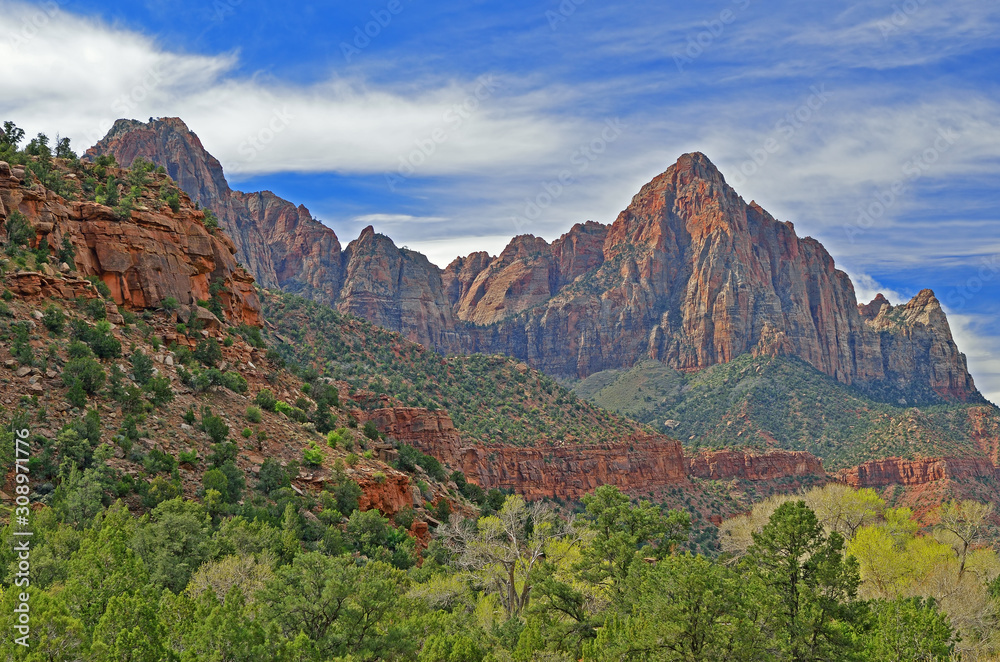 Spring landscape of the Watchman , Zion National Park, Utah, USA