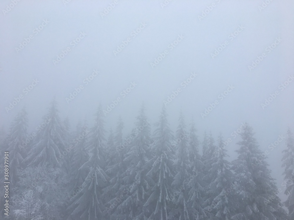 Winter mountain landscape in foggy Carpathians Winter mountain landscape in foggy Carpathians