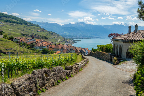 View on a little winery village called Rivaz, Lavaux Switzerland