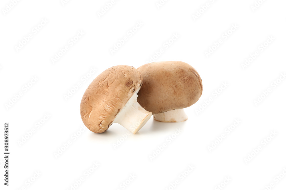 Champignon mushrooms isolated on white background, close up Champignon mushrooms isolated on white background, close up