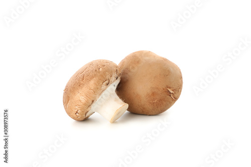Champignon mushrooms isolated on white background, close up