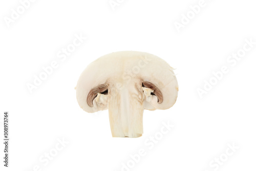 Сhampignon mushroom isolated on white background, close up