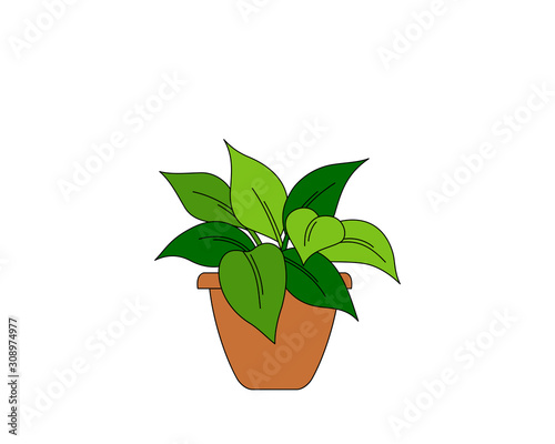 Cartoon drawing of a house plant in a terracotta pot, vector illustration