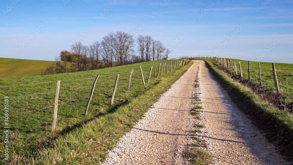 path in the countryside of southwestern France path in the countryside of southwestern France