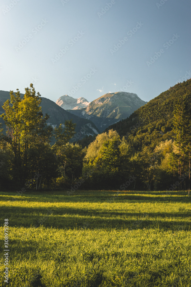 Obraz premium summer landscape in mountains