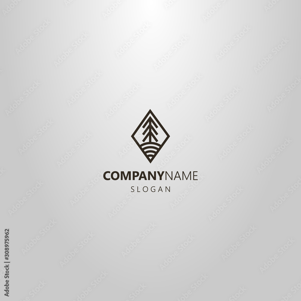 black and white simple vector line art logo of fir tree in rhombic frame black and white simple vector line art logo of fir tree in rhombic frame