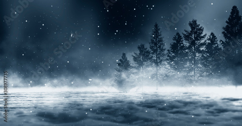 Dark winter forest background at night. Snow, fog, moonlight. Dark neon night background in the forest with moonlight. Neon figure in the center. Night view, magic.