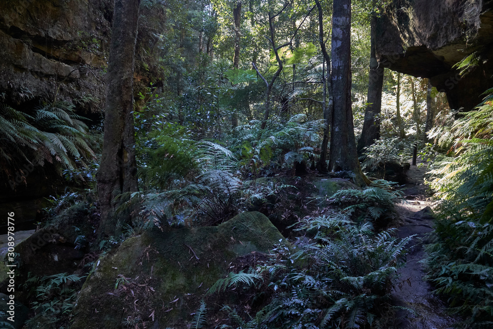 Grand Canyon Walk, Blue Mountains National Park, Evans Lookout Rd, Blackheath, NSW, Australia Grand Canyon Walk, Blue Mountains National Park, Evans Lookout Rd, Blackheath, NSW, Australia