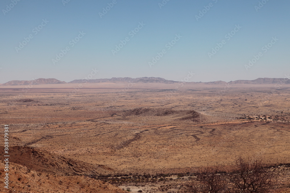 Open dry savannah arid landscape with tall grass and desert shrubs in Namibia safari