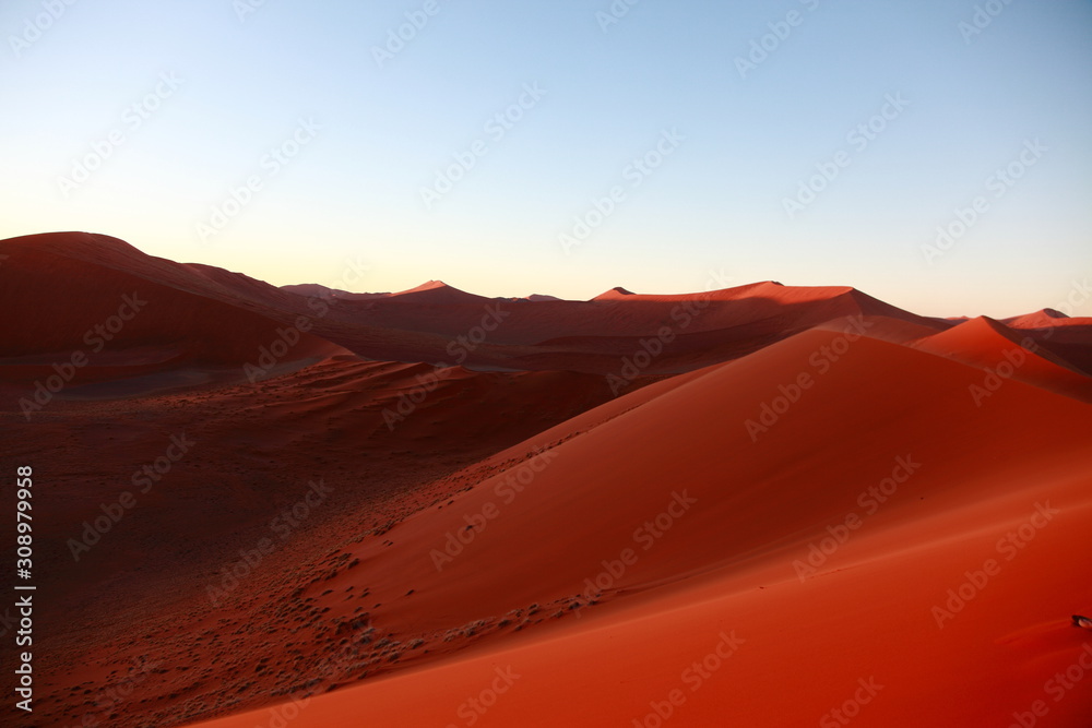 Huge Red sand dunes in Sossusvlei desert in Namibia in the sunrise