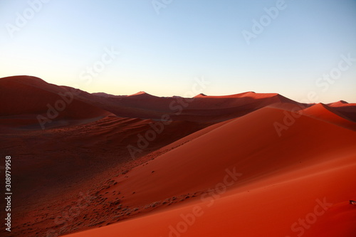 Huge Red sand dunes in Sossusvlei desert in Namibia in the sunrise © Alberto Vezendi