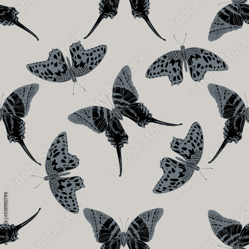 Seamless pattern with hand drawn stylized graphium androcles, papilio demoleus photo