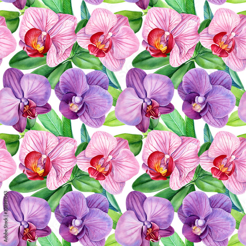 seamless patterns of tropical flowers orchids and green leaves on an isolated white background, watercolor illustration, flora design © Hanna