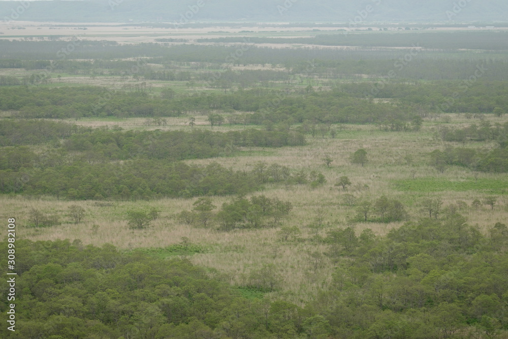 Fototapeta premium Landscape of Kushiro bog (the biggest bog in Japan / Hookaido)