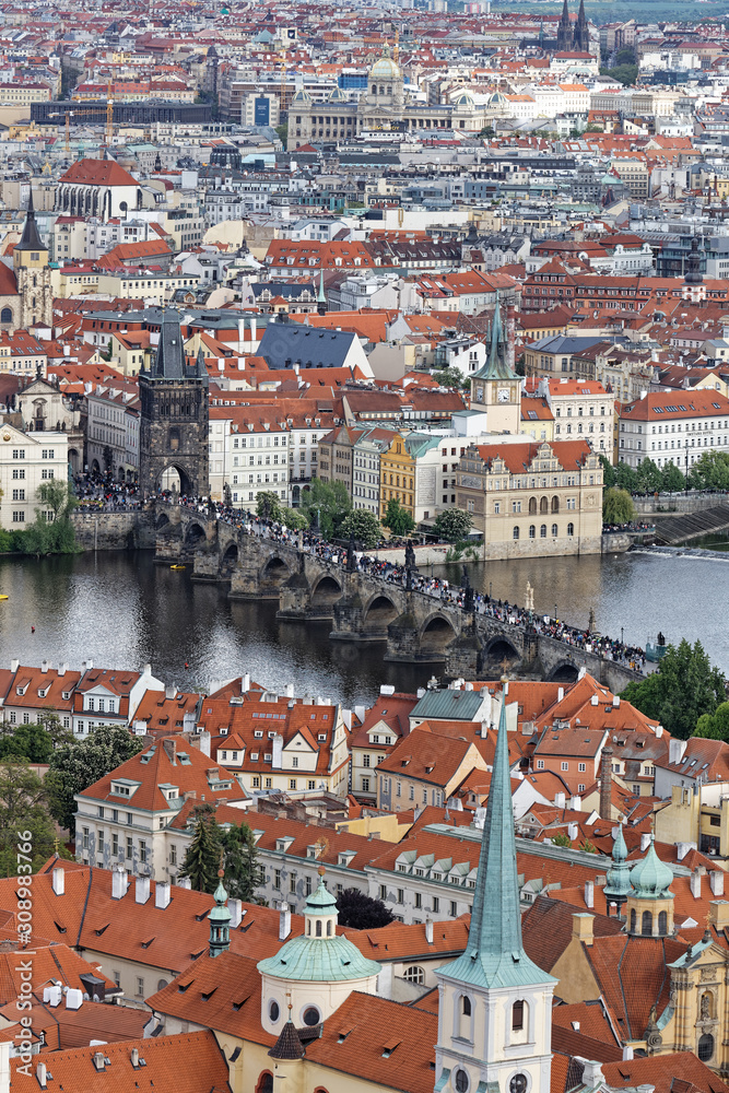 Obraz premium 展望台よりプラハの街風景 カレル橋 モルダウ川