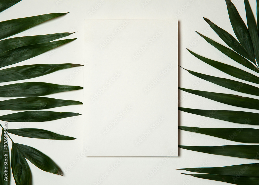 Travel and vacation concept. Paper blank in a frame of green tropical palm leaves on a white background. Free space for your text.