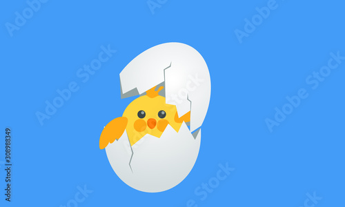 chicken and egg