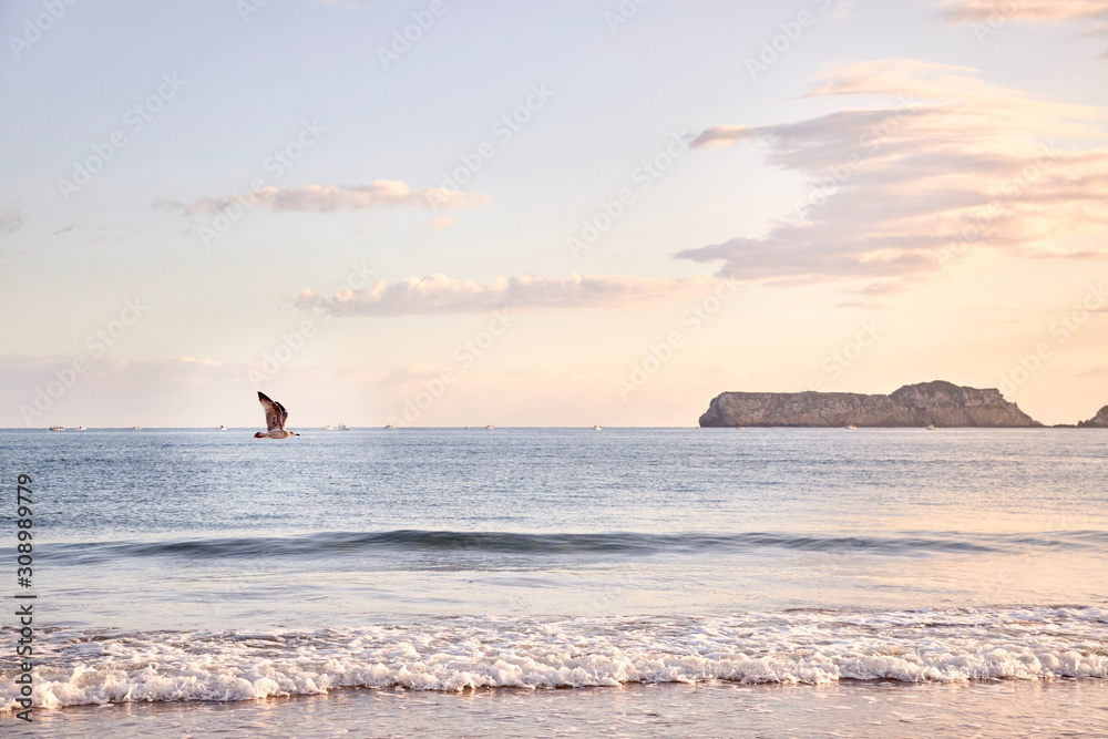 Fototapeta premium View of a beach at dawn in northern Spain.
