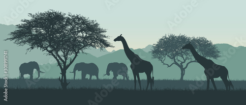 ilustracja-afrykanskiego-krajobrazu-i-safari