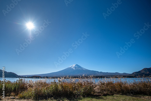 Mount Fuji at Kawaguchi Lake  Kawaguchiko   in sunny clear blue sky day  Yamanashi Prefecture  Japan 