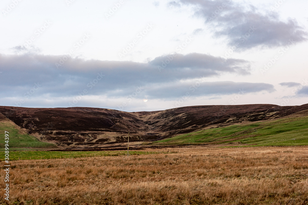 Obraz premium Scottish Highland