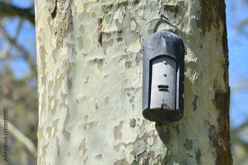 A small bee house is set on a tree trunk in a European city park photo
