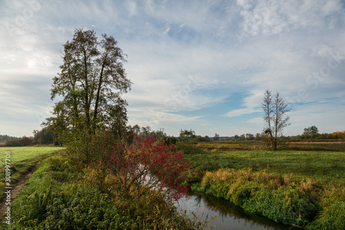 Jeziorka river at autumn near Piaseczno, Poland
