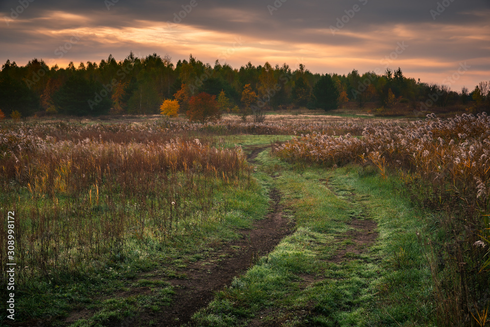 Fototapeta premium Dirt road in Jeziorka valley near Piaseczno, Poland