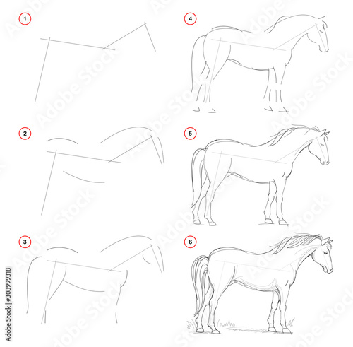How to draw from nature sketch of standing horse. Creation step by step pencil drawing. Educational page for artists. School textbook for developing artistic skills. Hand-drawn vector image.