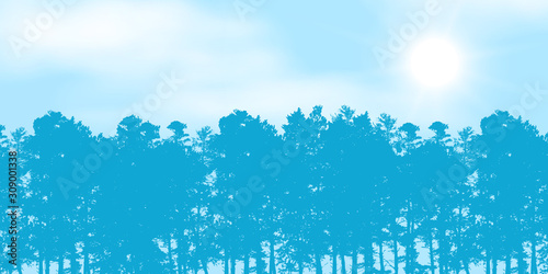 Realistic illustration of blue sky with white clouds and space for text. Tops of coniferous forest trees, pine tree and shining sun with sunbeam, vector