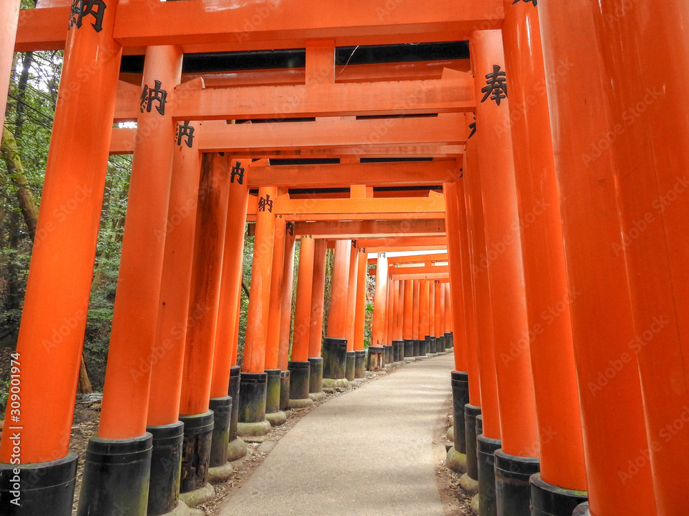 Tunnel of Gates