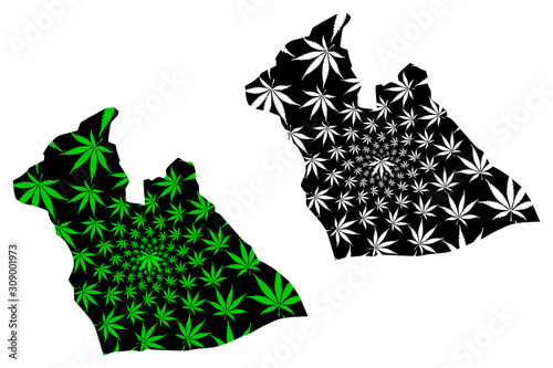 Laghouat Province (Provinces of Algeria, Peoples Democratic Republic of Algeria) map is designed cannabis leaf green and black, Laghouat map made of marijuana (marihuana,THC) foliage.. photo