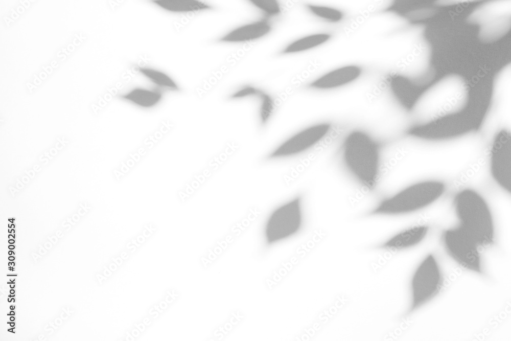 Overlay effect for photo. Gray shadow of the leaves on a white wall. Abstract neutral nature concept blurred background. Dappled light. Overlay effect for photo. Gray shadow of the leaves on a white wall. Abstract neutral nature concept blurred background. Dappled light.