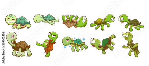 turtle vector set collection graphic clipart design