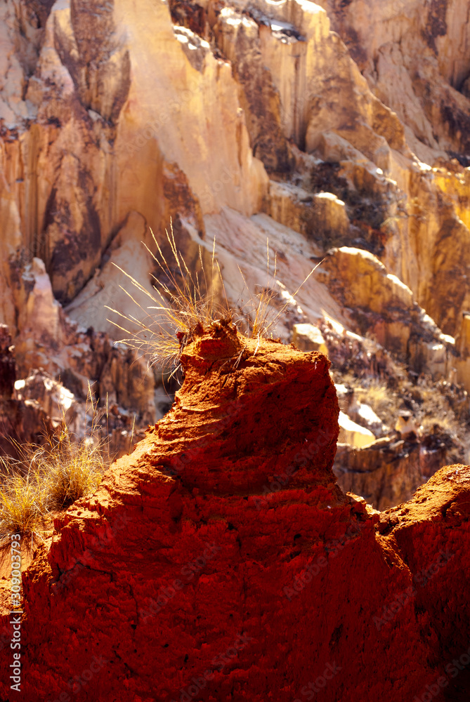 canyon, grands lavaka Ankarokaroka, Parc National Ankarafantsika, Madagascar