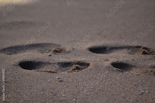 footprints in the sand