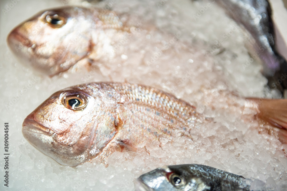 sea bream in the frost ready to be cooked sea bream in the frost ready to be cooked